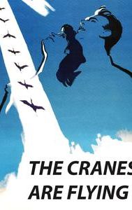 The Cranes Are Flying
