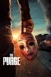 The Purge – Die Säuberung