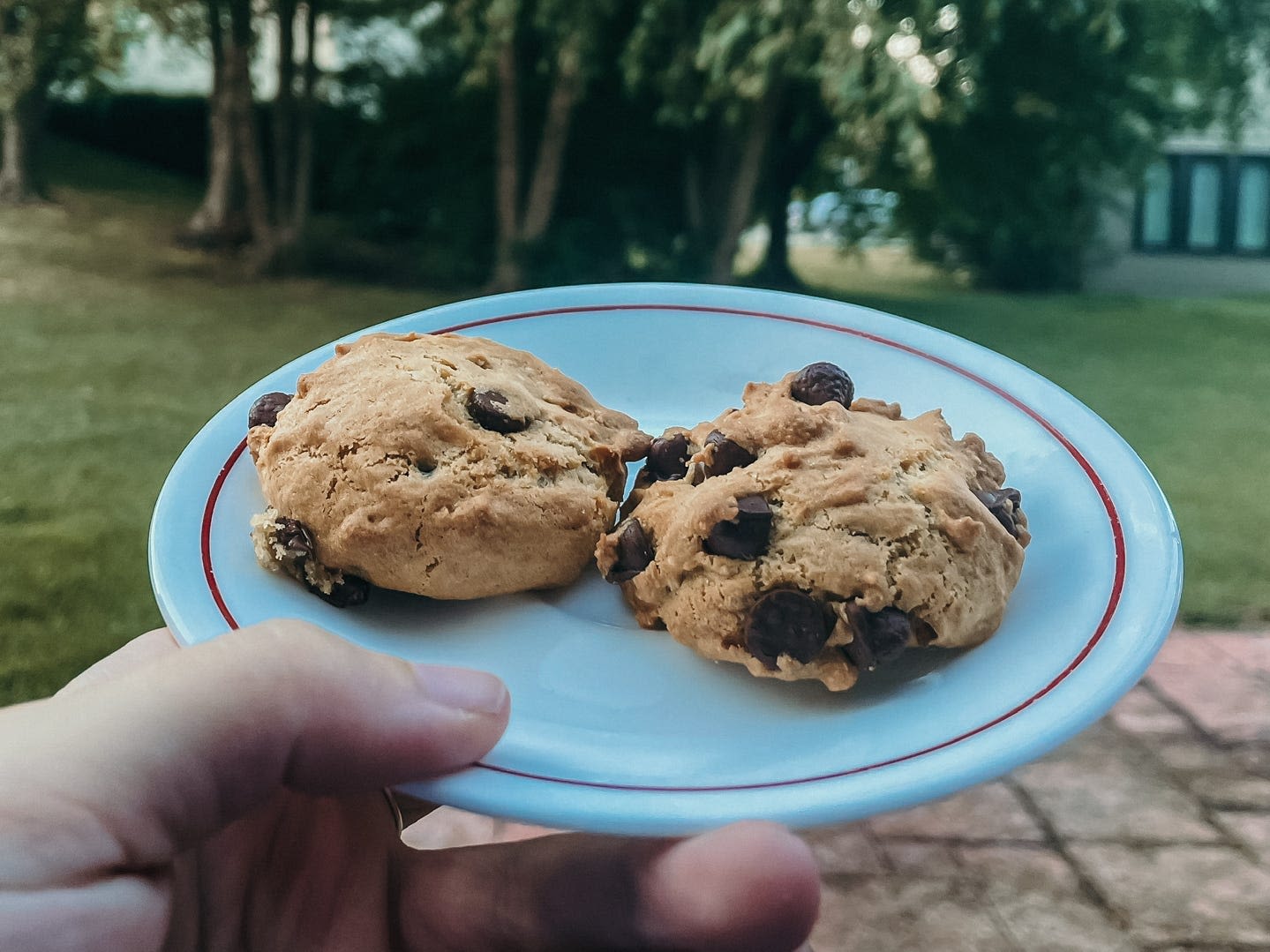 I made cookies in my air fryer for the first time. It only took 15 minutes, and I'd absolutely do it again.