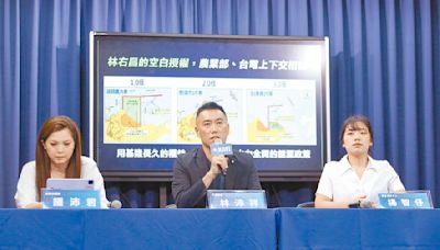 李鴻源：明年核三關廠 台灣低碳電剩1成
