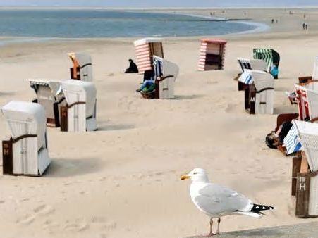 Nordsee: Größe, Temperatur, Orte – Die Fakten im Überblick