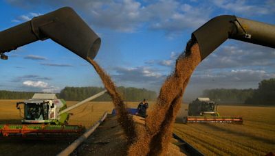 Los aranceles de la UE al grano ruso afectarán al mercado europeo, según Rusia