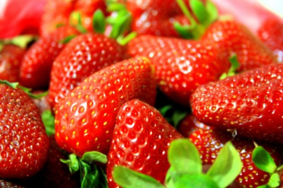 14 of the best pick-your-own strawberry farms in NJ