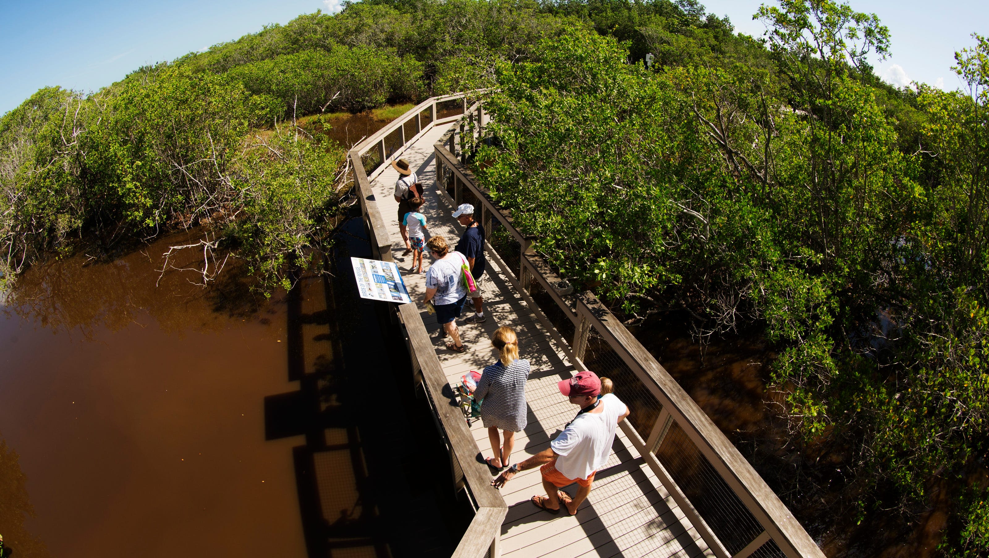 USA TODAY readers picked Florida location as a 'Best Hiking Trail" in America. It's in SWFL
