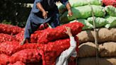 Inflation in Pakistan could average 33% in H1 2023, says Moody's economist