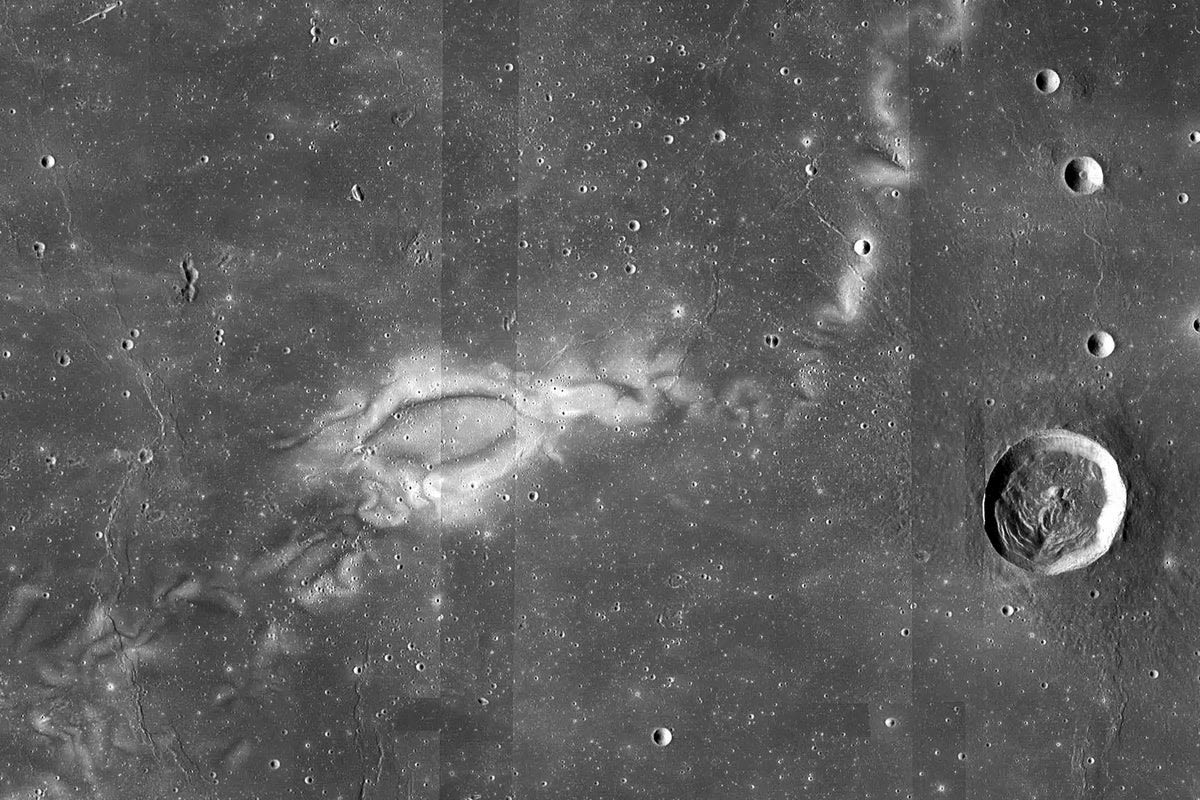 Shields Up! Lunar Swirls Arise from Ancient Underground Force Fields on the Moon