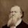 Brigham Young