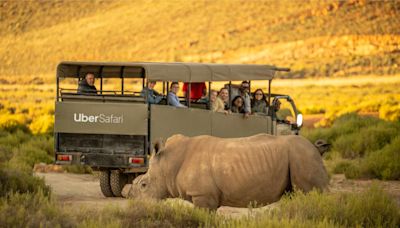 Uber Is Launching a Safari Experience In South Africa — and Its Just $200