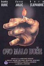 Ovo Malo Duse (1991) - Ademir Kenovic | Synopsis, Characteristics ...