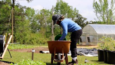 Major funders bet big on rural America and ‘everyday democracy’