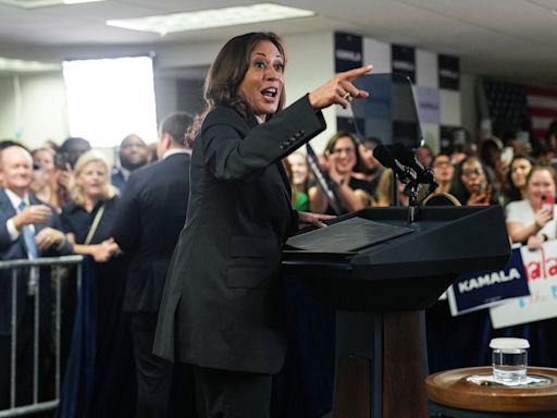 New poll finds overwhelming support for Kamala Harris among Democratic voters