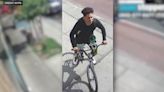 Person of interest taken into custody in Queens park sex assault, police say