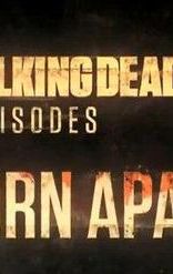 The Walking Dead: Torn Apart