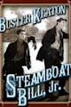 Steamboat Bill, Jr.