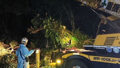 凱米逼近雨彈襲！仰德大道路樹悚塌 壓斷路燈阻交通