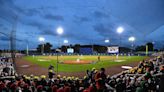 Little League World Series officials say there was 'no ill-intent' after team stuck 'cotton' on Black player's head