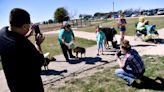 Abilene City Council to vote on new dog park that could displace homeless encampment