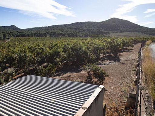 Cinco organismos rechazan las macrofotovoltaicas en Sagunt