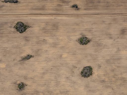 Avanço do desmatamento e da irrigação de lavouras faz minguar rios do cerrado...avanço do desmatamento no berço das águas do Brasil - mundo - Folha de S.Paulo - Ambiente...