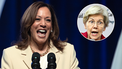 Harris will help create 'pathway' to citizenship for illegal immigrants, Warren says