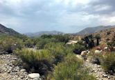 Morongo Valley, California