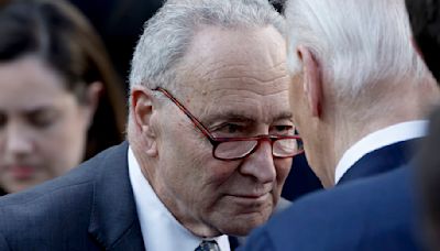 Chuck Schumer Told Biden to Go Just Before Trump Kill Bid: Report