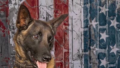 Weeks after K9 died in the line of duty, man who dog chased is arrested, SC sheriff says