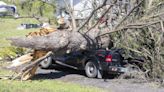 Several parts of Ontario under tornado watches: Environment Canada