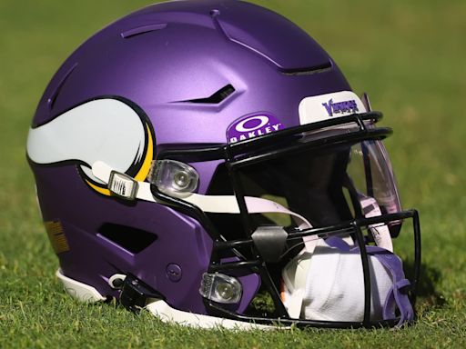 19. Minnesota Vikings