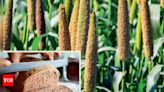 The Way to a Healthy Brain is Through the Stomach: Importance of Millets in Diet | Delhi News - Times of India
