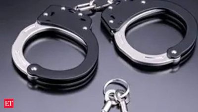 First organised crime case under BNS: Punjab Police books interstate gang - The Economic Times