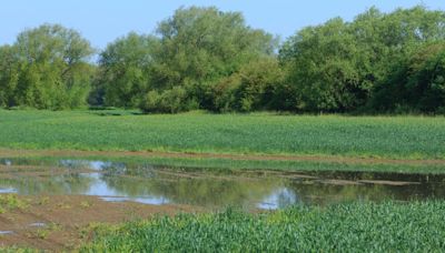 Climate change increasing hot and wet days, says Met Office - Farmers Weekly