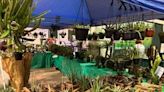 Orlando Home & Garden show will be this weekend