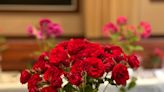 Richmond Rose Society Show delighted rose enthusiasts at Lewis Ginter Botanical Garden