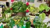 Shop 'Til You Drop Craft Fair, Green Thumb Plant Sale and more: Community events May 6-12