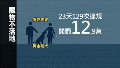 台中大樓祭「寵物不落地」違規罰錢！ 夫妻挨罰12.9萬