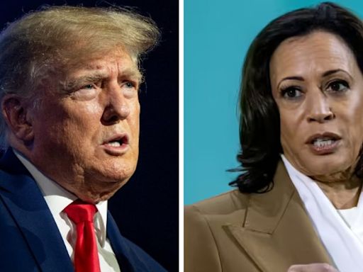 Donald Trump utilizaría un insulto para referirse a Kamala Harris: The New York Times