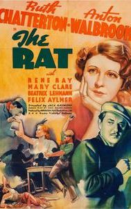 The Rat (1937 film)