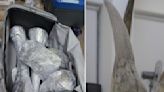 Record $1.2m seizure of rhino horns found in luggage at Changi Airport
