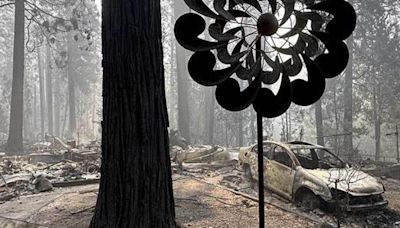 Clima ayuda a combatir incendio en California