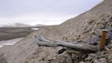 World's oldest DNA found in northern Greenland dates back 2 million years