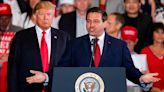 Trump and DeSantis meet to 'bury the hatchet' after 2024 primary fight: Sources