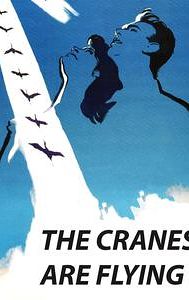 The Cranes Are Flying