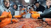 “Otro año malo y puede ser muy complicado”: expectativas en el sector pesquero tras un 2023 con menores exportaciones