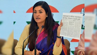 'Domestic Violence Increasing Due To...': Mahila Congress Chief Alka Lamba's Bizarre Remark On Inflation