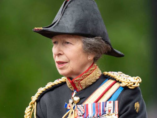 Princess Anne Hospitalized for Head Injury: Horses Suspected