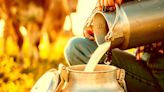 Raw Milk Enthusiasts Demand Milk Infected With H5N1