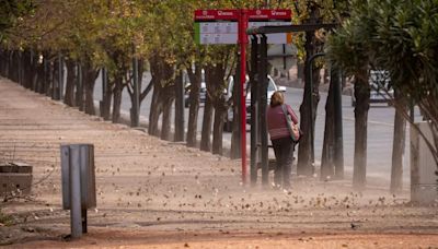 Alerta naranja por viento Zonda en Mendoza: que zonas se verán afectadas este lunes | Sociedad