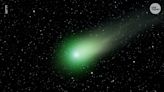 Want to see Comet Nishimura in Florida? You have one more chance, or wait until 2458