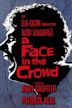 A Face in the Crowd (film)